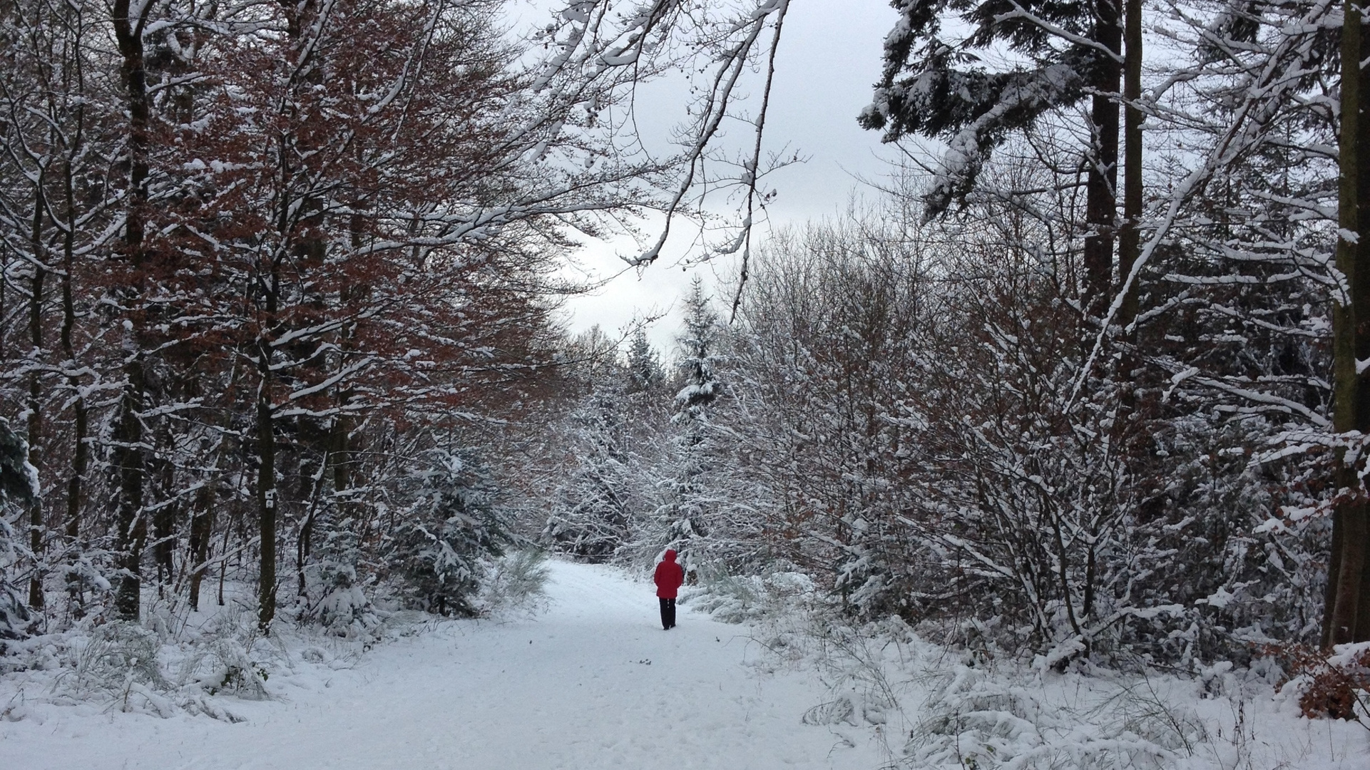 Winterlandschaft mit Spaziergängerin