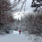 Winterlandschaft mit Spaziergängerin