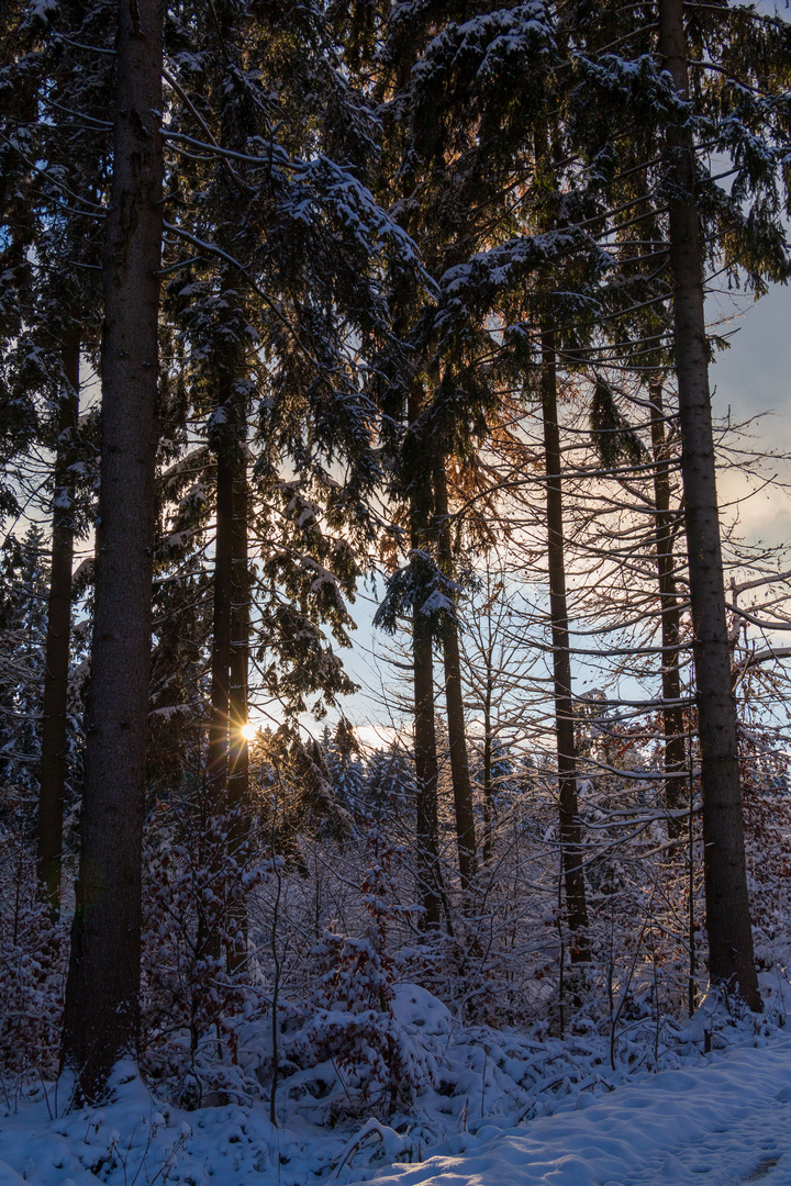 Winterlandschaft mit Untergehender Sonne
