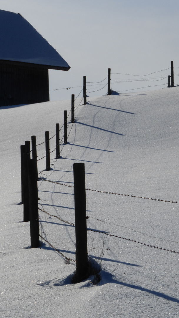 Winterlandschaft mit Zaun bei Waldburg