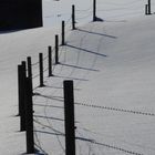 Winterlandschaft mit Zaun bei Waldburg