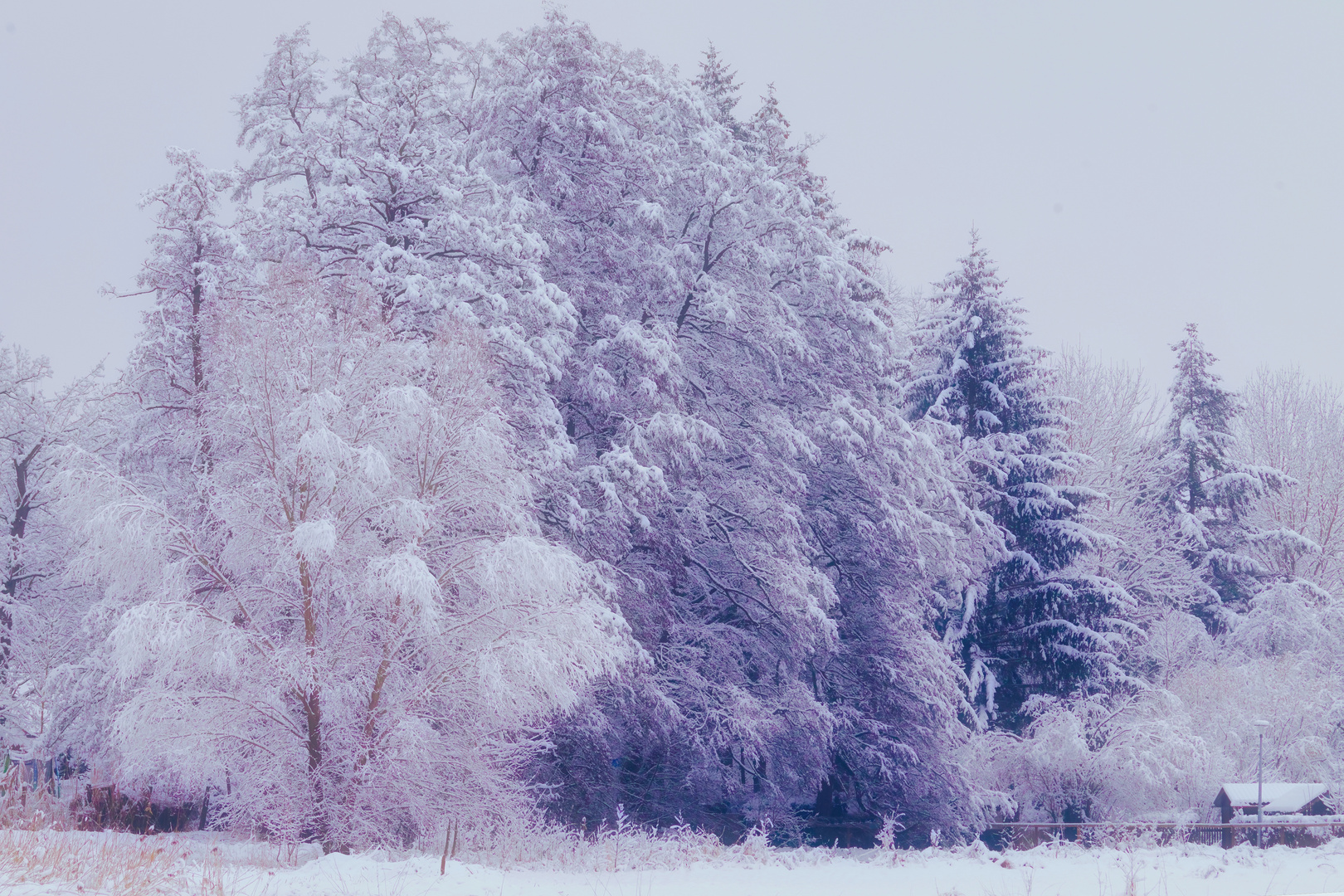 Winterlandschaft mitten in der Stadt