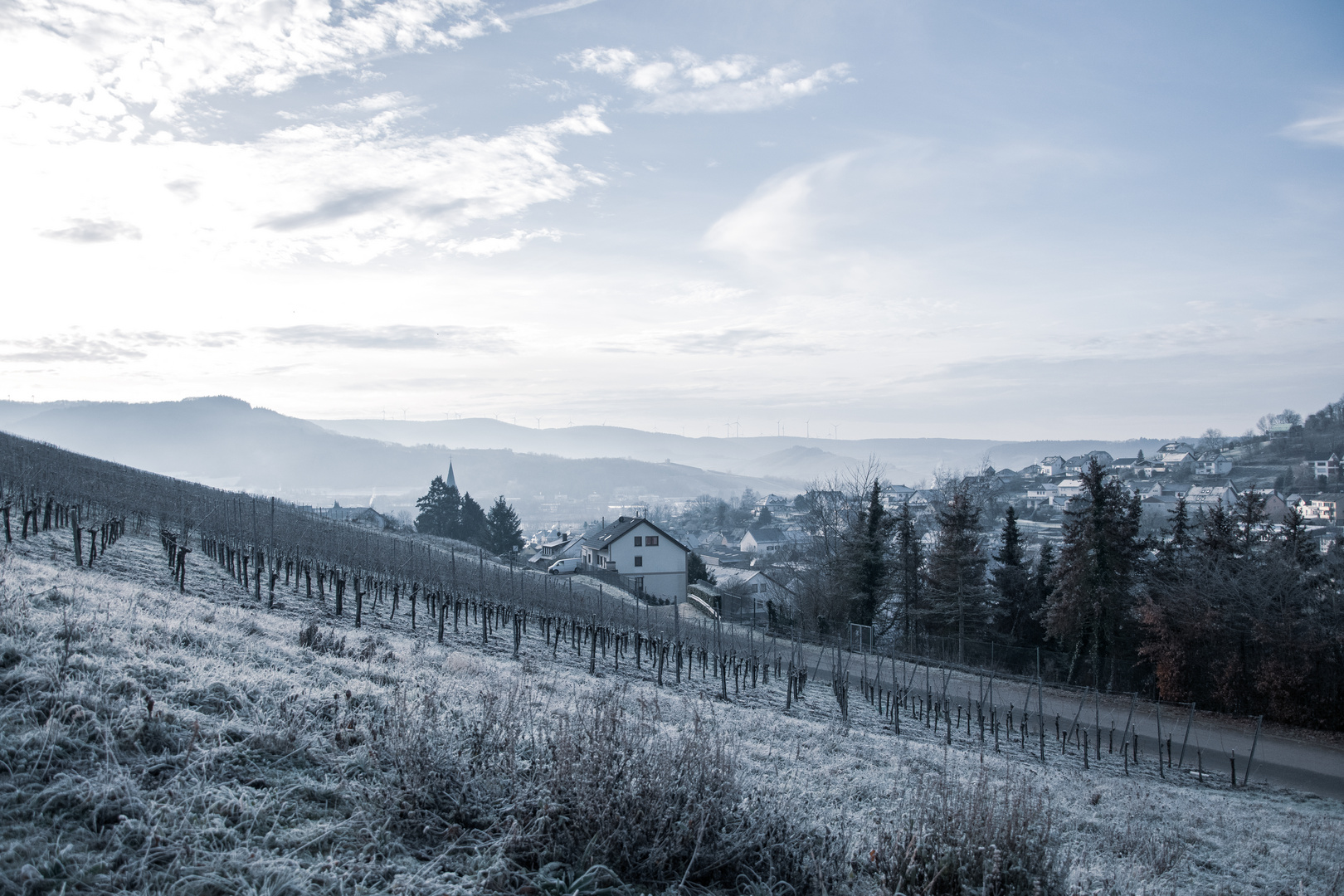 Winterlandschaft Mosel