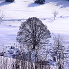 Winterlandschaft Neuhof - Südschwarzwald