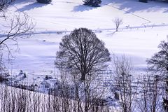 Winterlandschaft Neuhof - Südschwarzwald