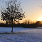 Winterlandschaft Niederrhein