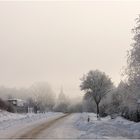 Winterlandschaft / Niemberg I