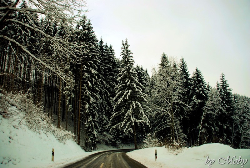 Winterlandschaft Norden Luxemburg 2