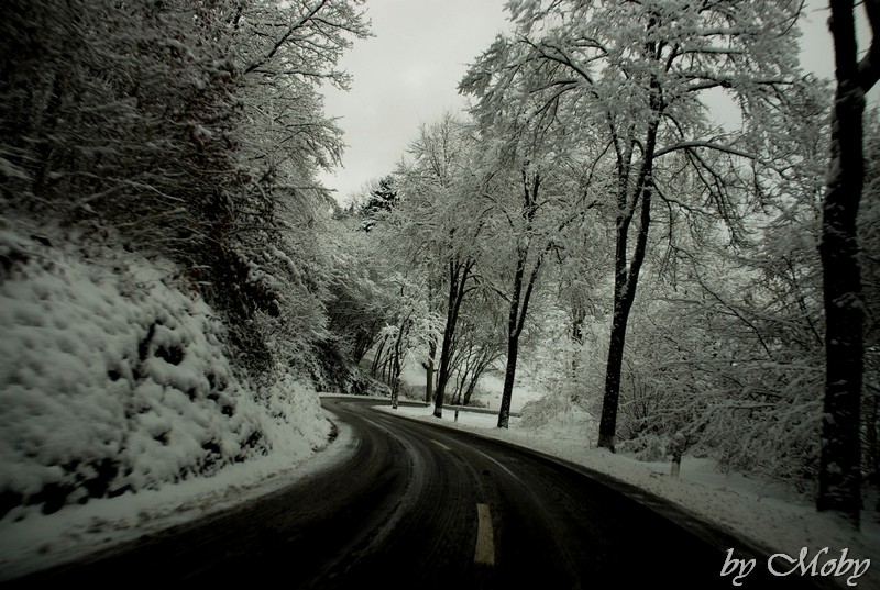 Winterlandschaft Norden Luxemburg