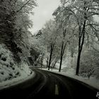 Winterlandschaft Norden Luxemburg