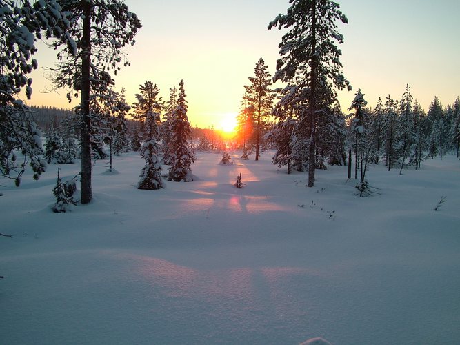 Winterlandschaft Nordfinnland