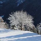 Winterlandschaft, Österreich
