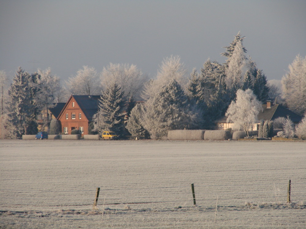 Winterlandschaft ohne Schnee