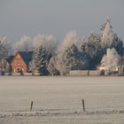 Winterlandschaft ohne Schnee