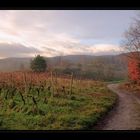 winterlandschaft ohne Schnee