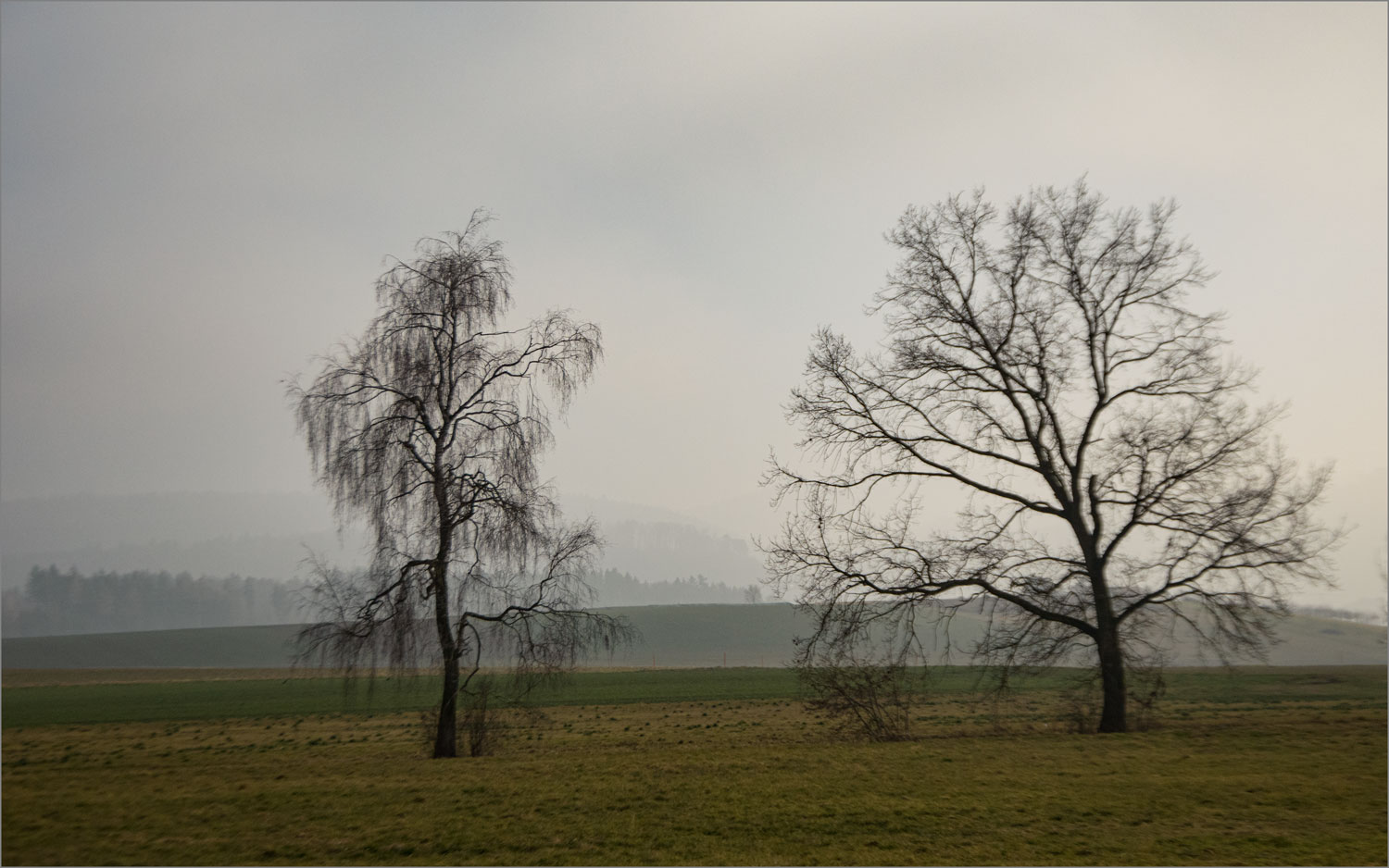 Winterlandschaft ohne Schnee