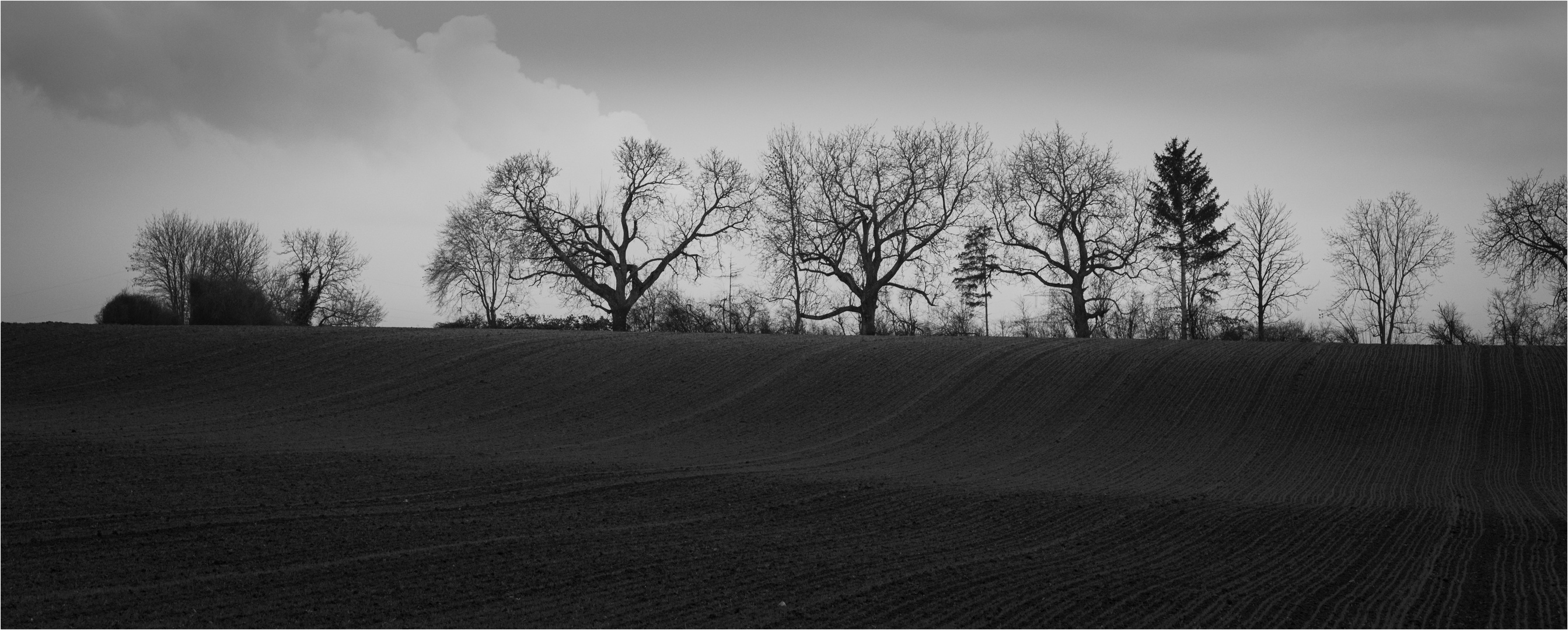 Winterlandschaft (ohne Schnee)