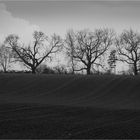 Winterlandschaft (ohne Schnee)