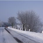 Winterlandschaft / Ortsausgang Niemberg III