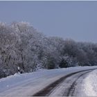 Winterlandschaft / Ortsausgang Niemberg IV