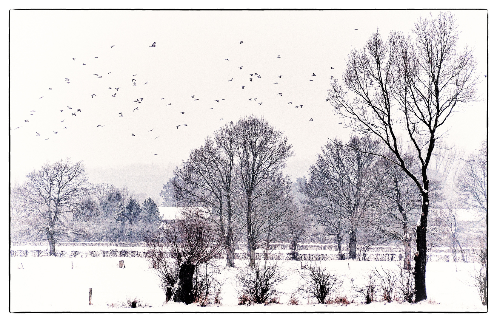 Winterlandschaft - Paysage hivernal