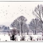 Winterlandschaft - Paysage hivernal