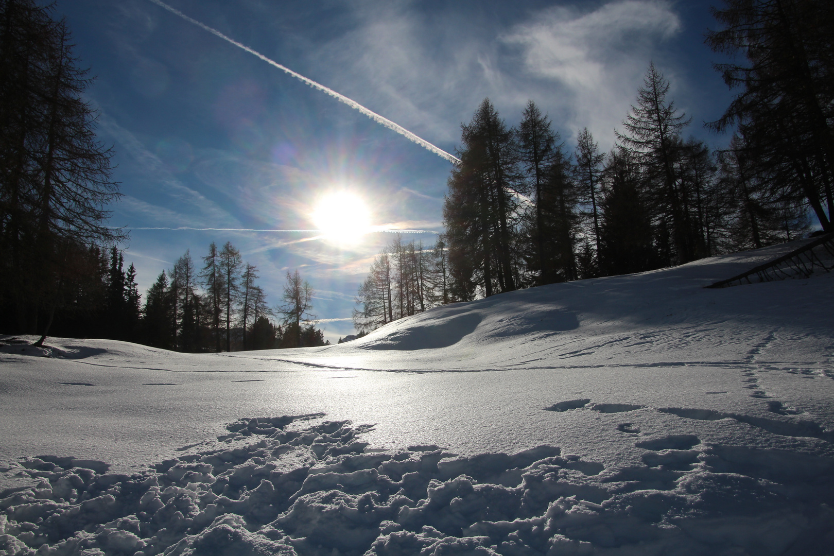 Winterlandschaft pur