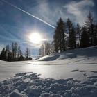 Winterlandschaft pur