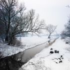 Winterlandschaft Quakenbrück