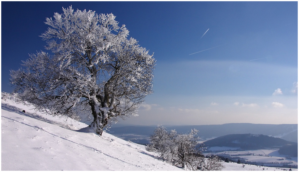 Winterlandschaft Reload