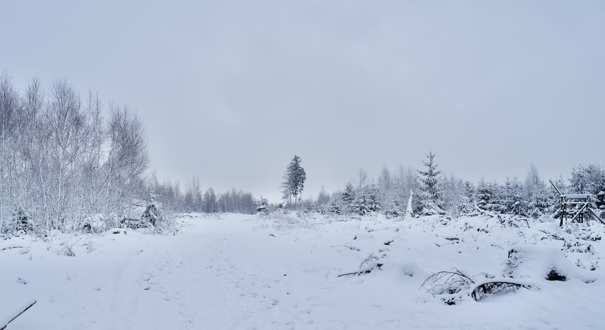 Winterlandschaft Rothaargebirge