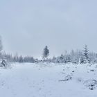 Winterlandschaft Rothaargebirge