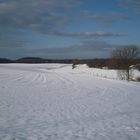 Winterlandschaft Rügen