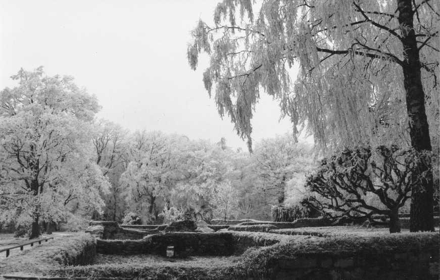 Winterlandschaft Saalburg, Taunus