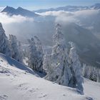 Winterlandschaft Salzburger Land