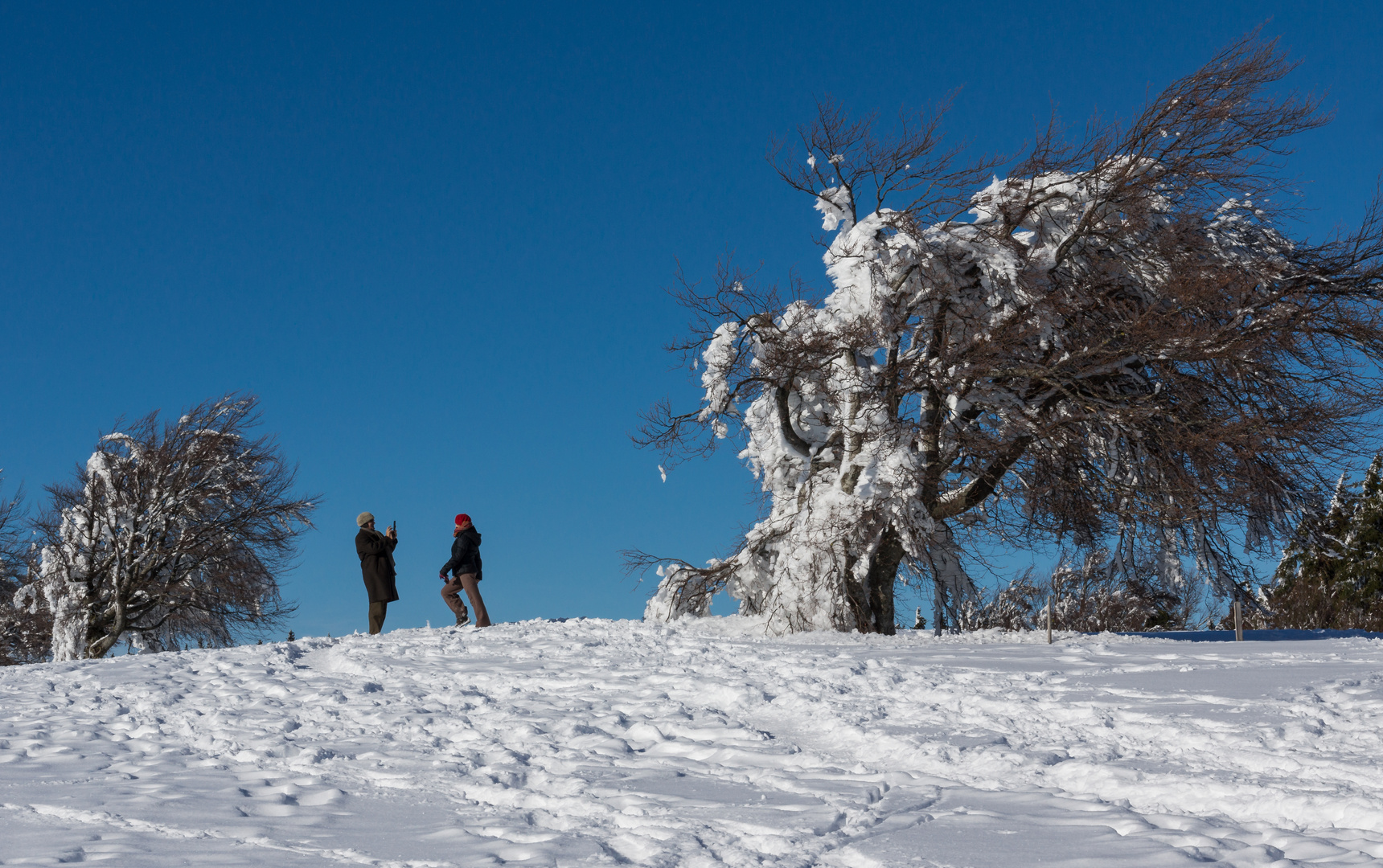 Winterlandschaft Schauinsland Südbaden Bild 1