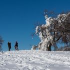 Winterlandschaft Schauinsland Südbaden Bild 1