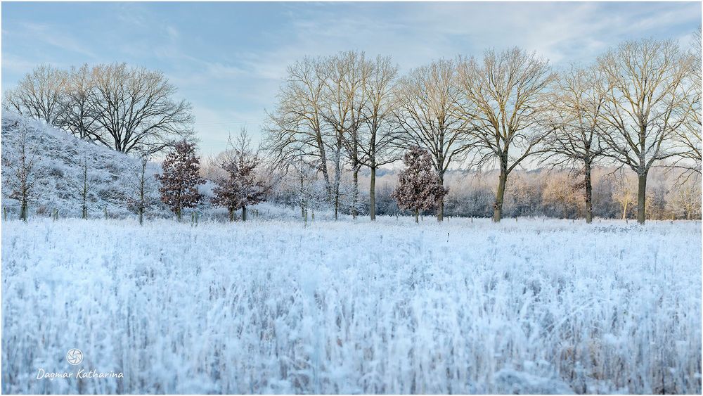 Winterlandschaft Schinveldse Bossen