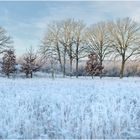 Winterlandschaft Schinveldse Bossen