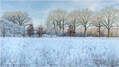 Winterlandschaft Schinveldse Bossen