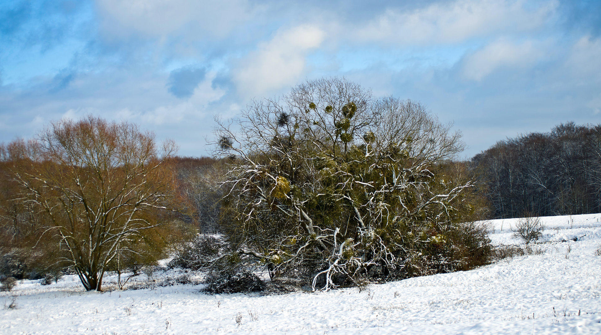 Winterlandschaft Schmidtenhöhe, Koblenz