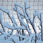 Winterlandschaft: Schneeverwehungen auf dem Markstein (1266 m) Vogesen/ FR