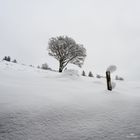 Winterlandschaft Schwarzwald