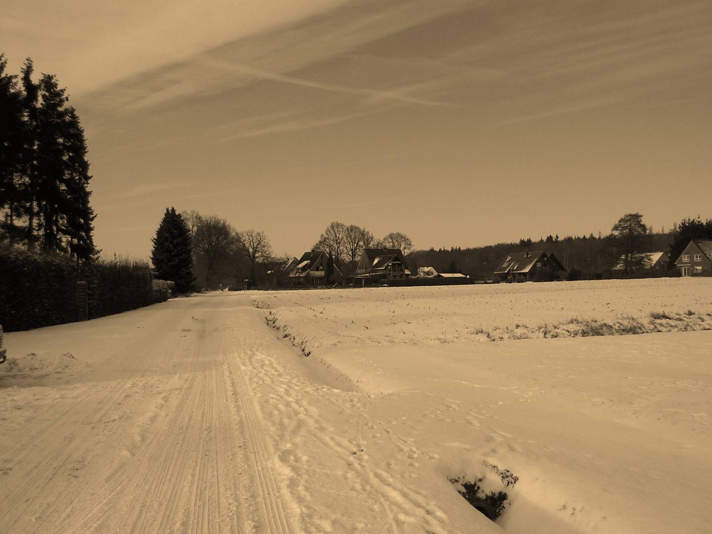 Winterlandschaft (Sephia)