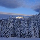 Winterlandschaft Sonnenuntergang