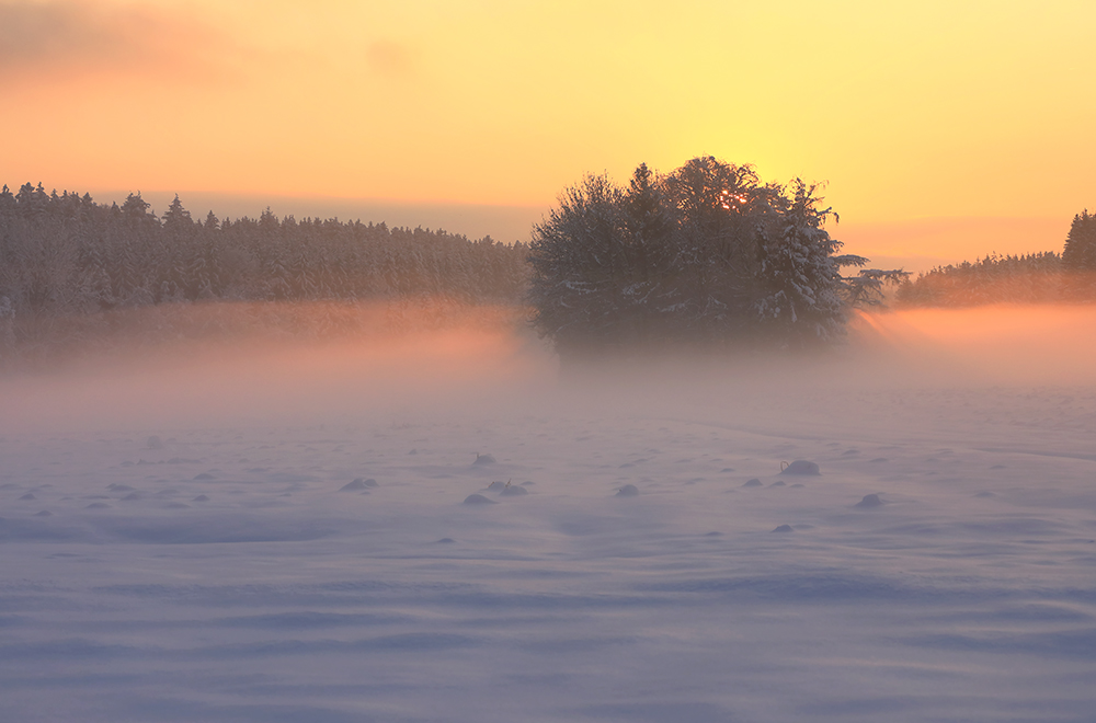 Winterlandschaft Sonnenuntergang III