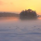 Winterlandschaft Sonnenuntergang III