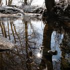 Winterlandschaft Spiegelung-9968-1