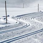 Winterlandschaft: Spuren im Schnee, Langlauf in den Vogesen (Elsass)