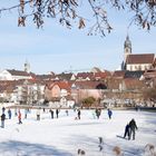 Winterlandschaft Stadt-See in Böblingen